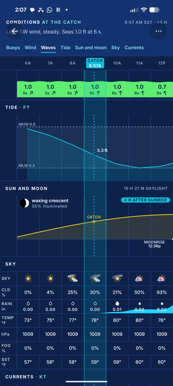 Conditions at the catch: waves, tide curve, sun and moon, sky, pressure and water temperature for the hours around the catch